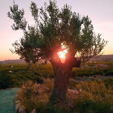Cabezo Bunuel Rural לינה וארוחת בוקר 4*